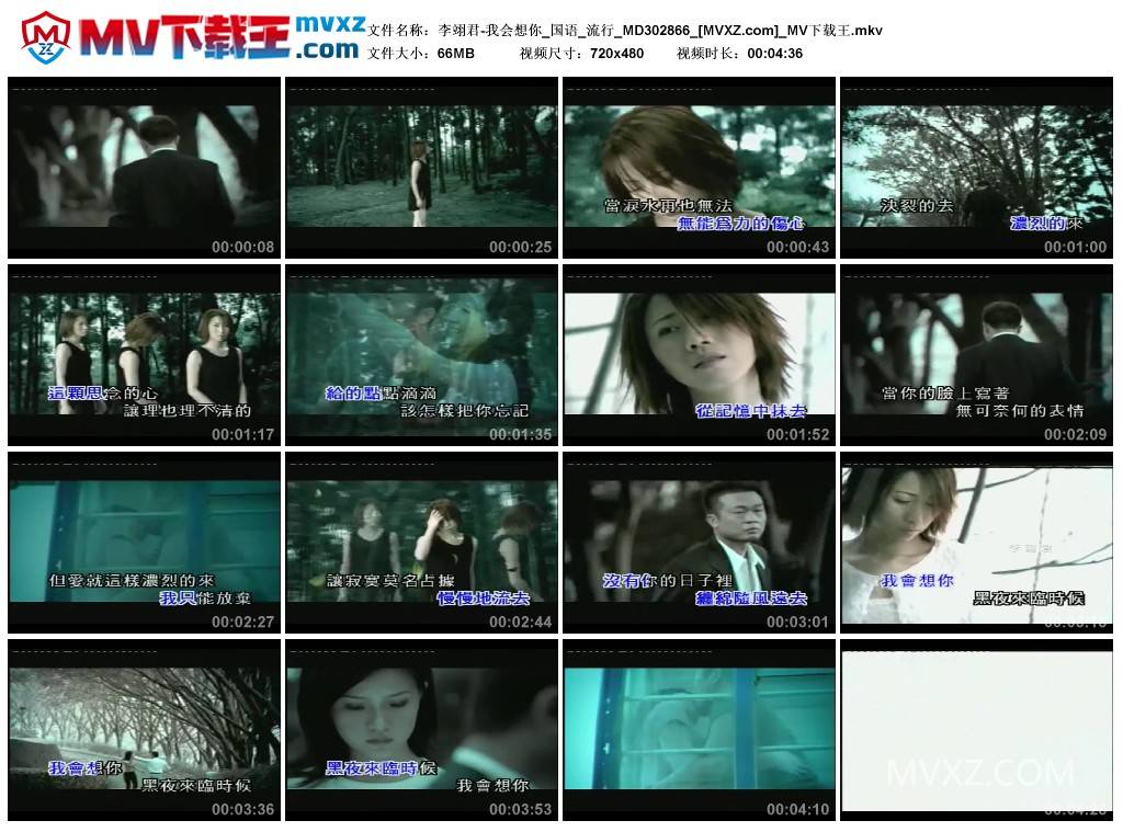 李翊君-我会想你_国语_流行_MD302866